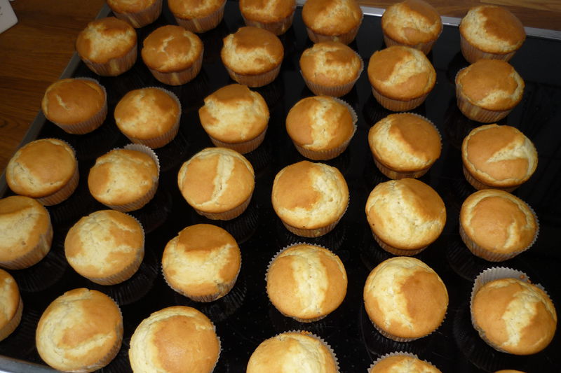 Datei:Muffins.jpg