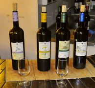 Bei der Weinprobe: v.l.n.r.: Ansonica, Vermentino, 2x Elba Bianco