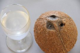 Bild 1: Kokosnuss mit zwei Löchern und dem entnommenen Kokoswasser