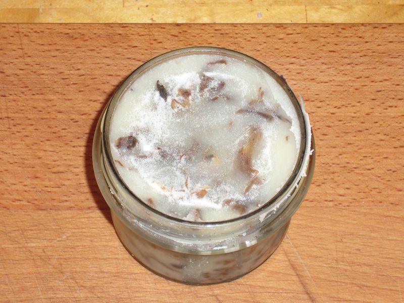Datei:Rillettes3.jpg