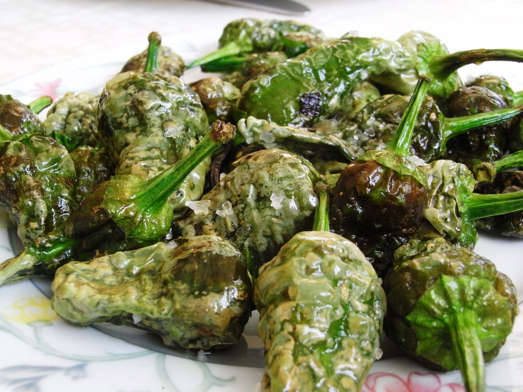 Pimientos de Padrón KochWiki
