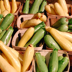 Gegrillte Zucchini in Balsamico