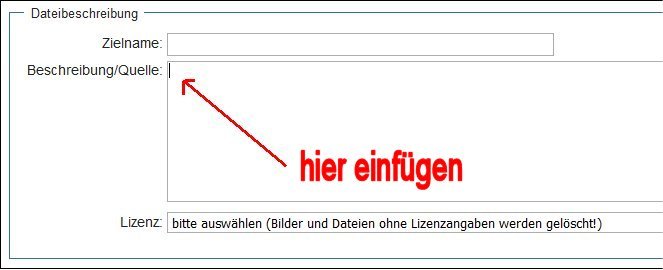 Bild1VorlageInformation.jpg