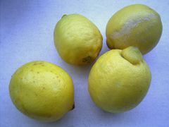 Zitronen.jpg