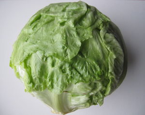 Eisbergsalat