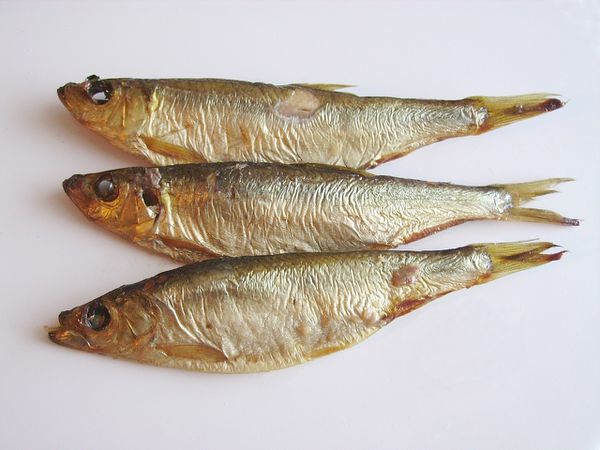 ZutatSprotte KochWiki