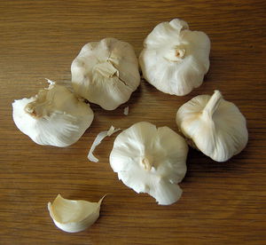 Knoblauch