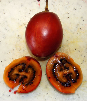 Tamarillo