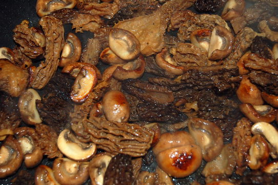 Rinderfilet mit Morcheln und Champignons – Koch-Wiki