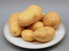 Kartoffel Allians 03 (fcm).jpg