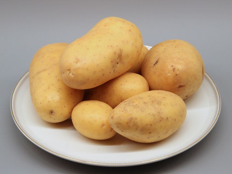 Datei:Kartoffel Allians 03 (fcm).jpg