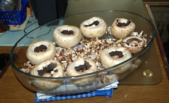 Gefüllte Champignons mit Frischkäse – Koch-Wiki