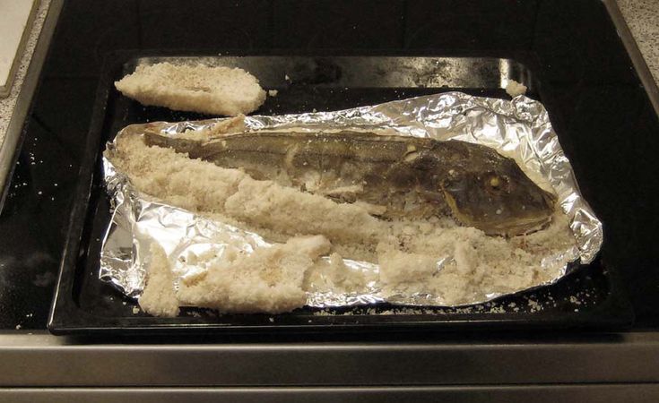 fisch-im-salzmantel-koch-wiki