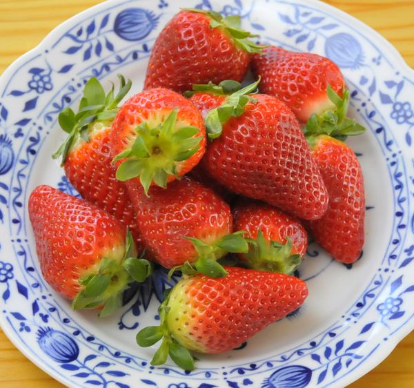 Zutat:Erdbeere – Koch-Wiki
