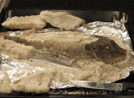 fisch-im-salzmantel-koch-wiki