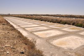 Die Meersalzgärten sind zum Abernten bereit, das Wasser ist fast ganz verdunstet.