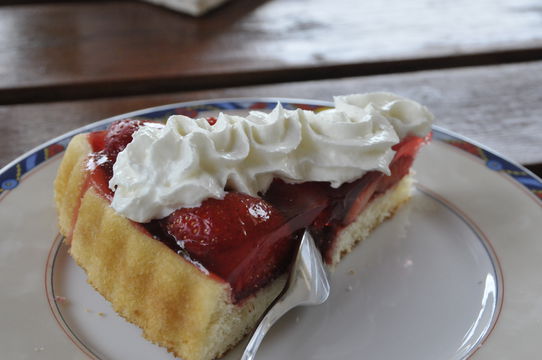Kategorie:Obsttorte – Koch-Wiki