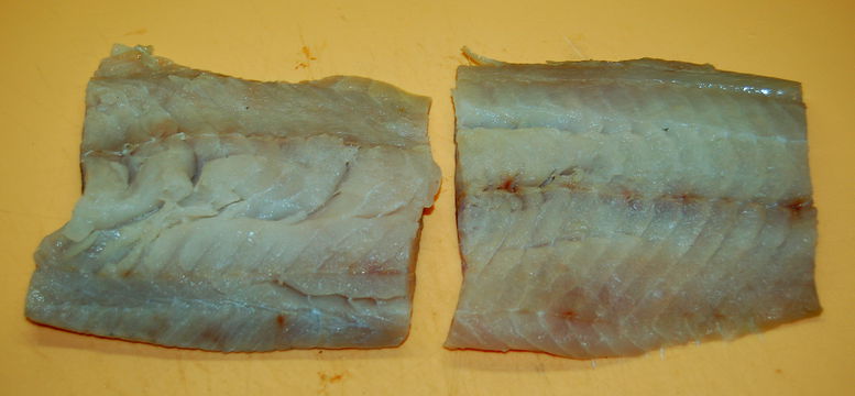 Gedämpftes Zanderfilet in Aluminiumfolie mit Weißwein – Koch-Wiki