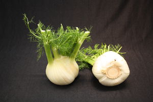 Fenchel