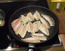 Die Fischfilets anbraten