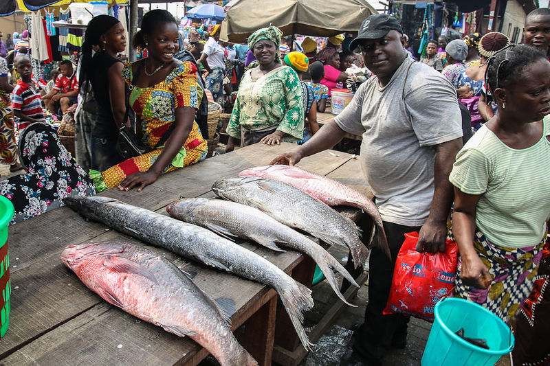 Datei:Nigeria fish1.jpg