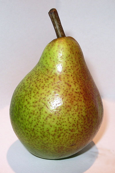 Datei:Clapps Liebling.jpg