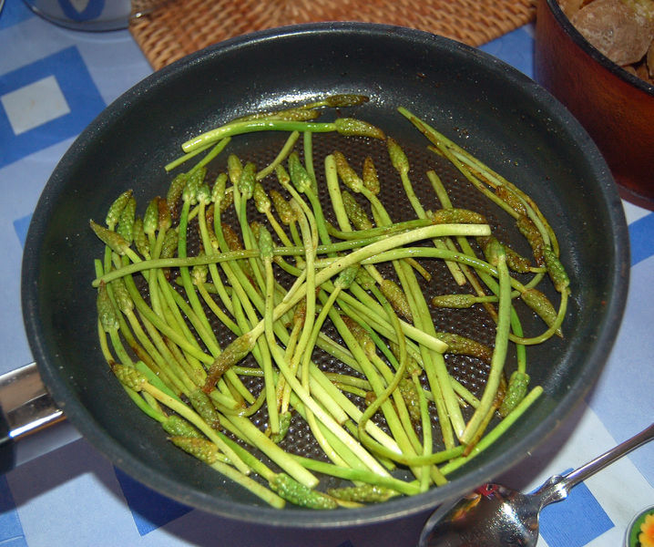 Datei:WilderSpargelGebraten.jpg