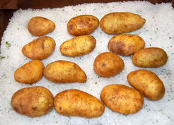 die Kartoffeln
