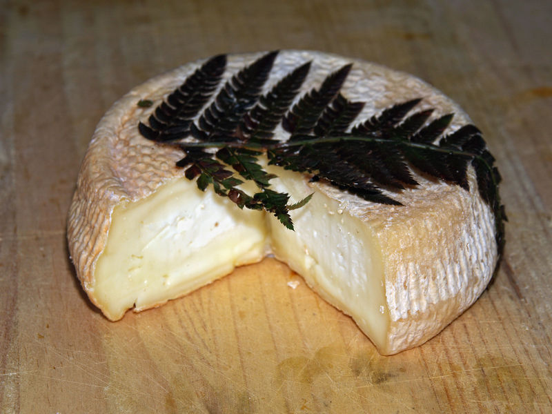 Datei:Fromage-Afiletta.jpg