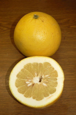 Pomelo