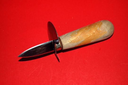 Frische Austern – Koch-Wiki