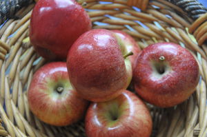 Zutat Gala Apfel Koch Wiki