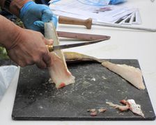 Filleting-01.jpg