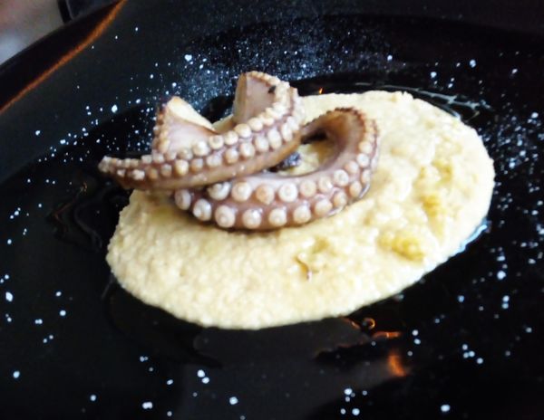 Kategorie:Tintenfisch – Koch-Wiki
