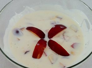 Nektarinen-Joghurt-Sommerdessert