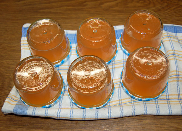 Kategorie:Süßes Gelee – Koch-Wiki