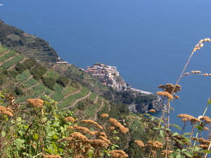 Cinque Terre