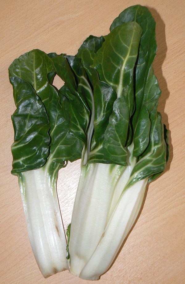 Zutat:Mangold – Koch-Wiki Zutat:Mangold – Koch-Wiki