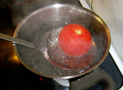 Tomate kreuzweise einschneiden und in kochendem Wasser blanchieren