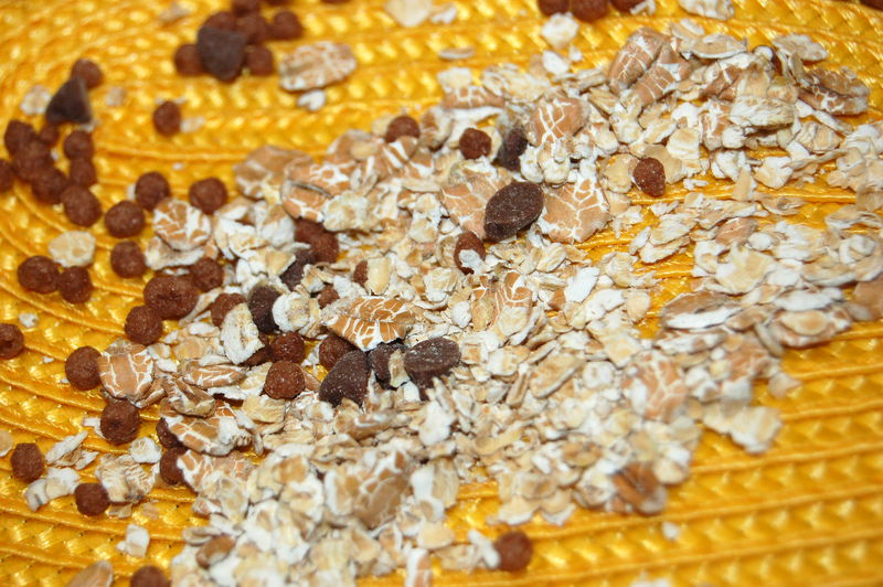 Datei:SchokoMuesli.jpg