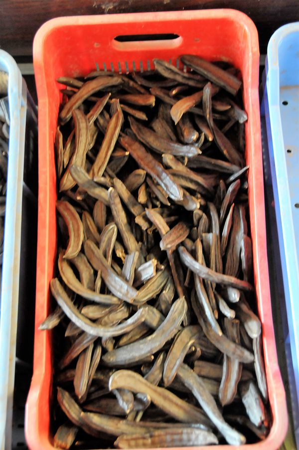 ZutatJohannisbrot KochWiki