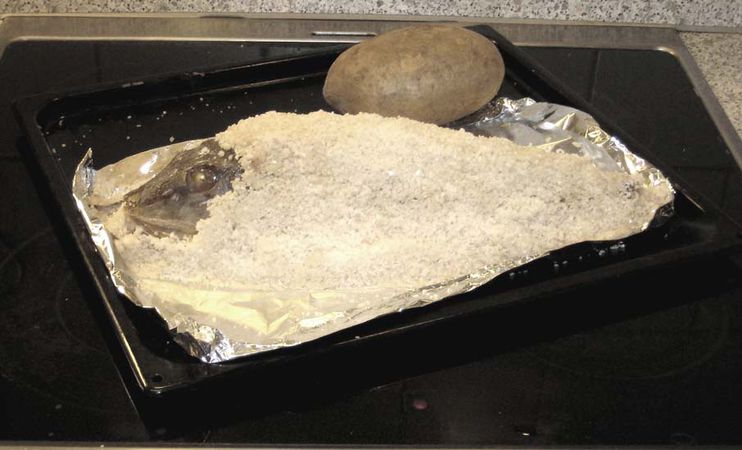 fisch-im-salzmantel-koch-wiki