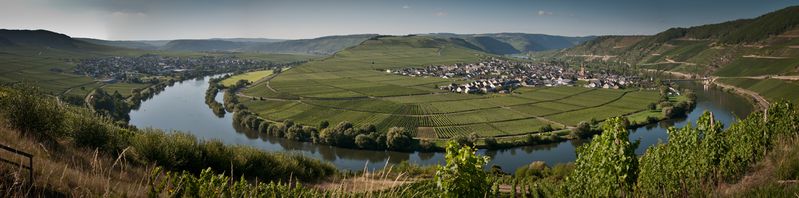 Datei:Trittenheim an der Mosel 2010.jpg