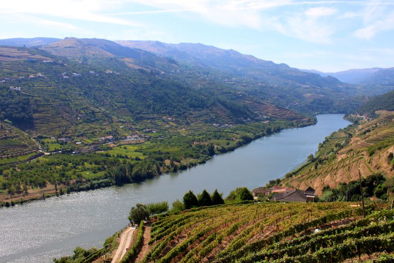 Datei:Alto Douro Vinhateiro (Mesão Frio).jpg