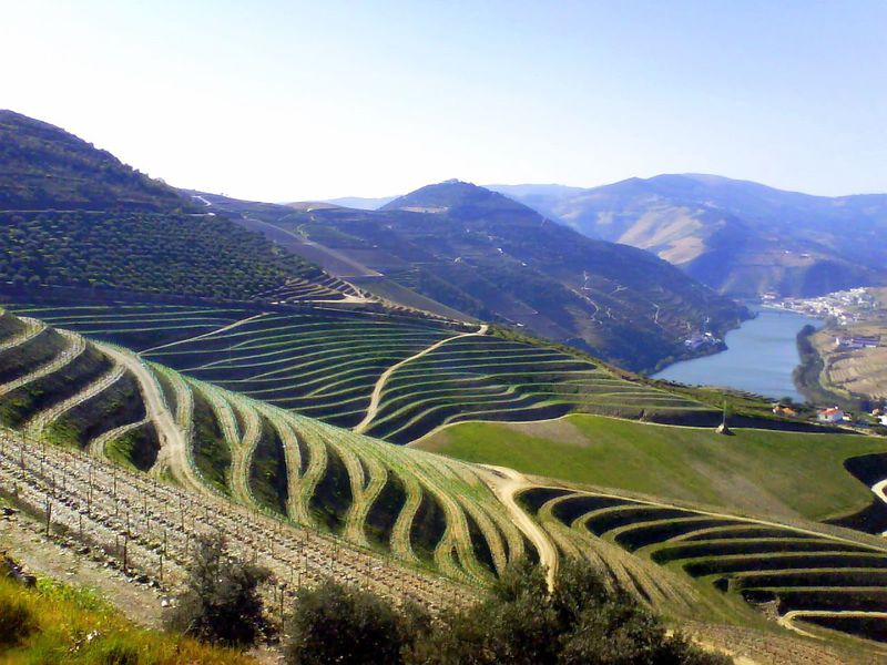 Datei:Douro-Weinberge.jpg