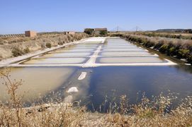 Geflutete Meersalzbecken in Südportugal (Vila Real de San Antonio) im Jahre 2008.