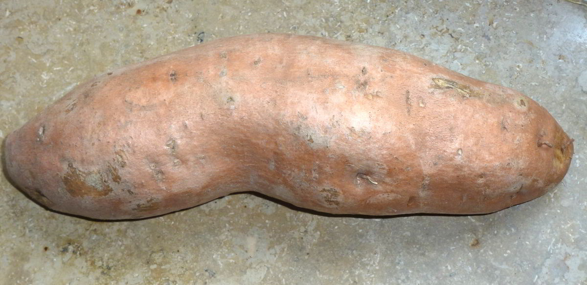 ZutatSüßkartoffel KochWiki