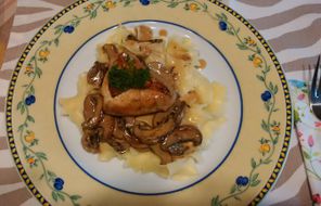 Huhn mit Champignons