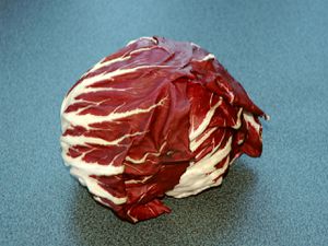 Radicchio