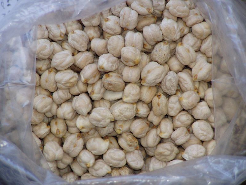 Datei:Chickpea grains.jpg